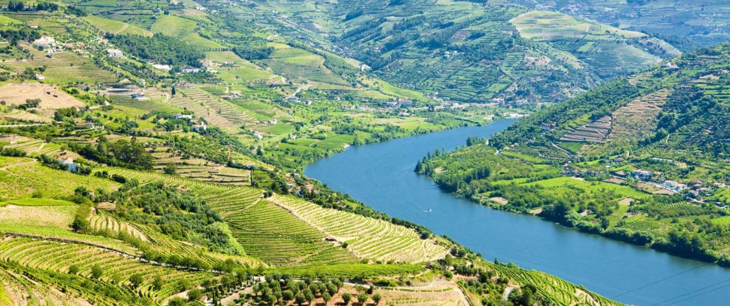 Le Douro Litoral est l’un des centres économiques portugais les plus importants et les plus dynamiques et aussi l’un des plus cosmopolites et développés du Portugal.