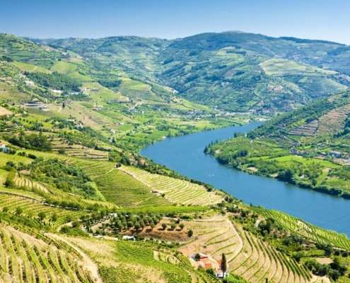 Le Douro Litoral est l’un des centres économiques portugais les plus importants et les plus dynamiques et aussi l’un des plus cosmopolites et développés du Portugal.