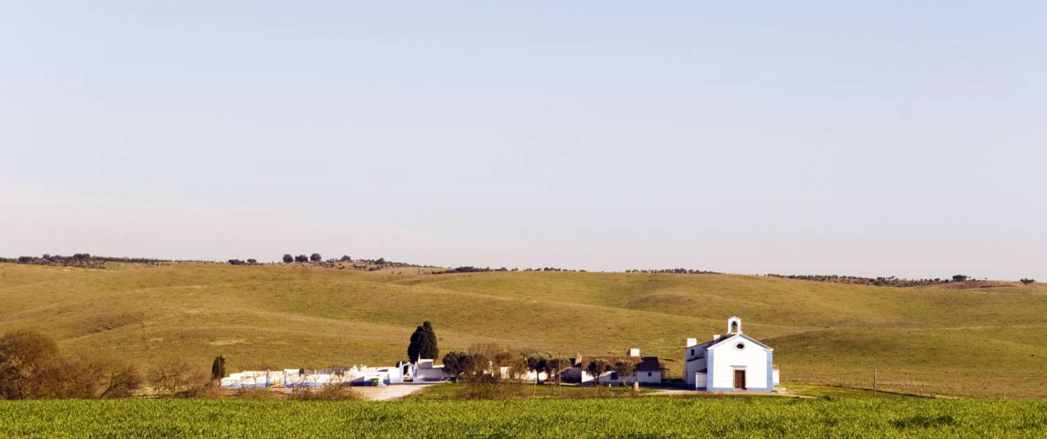 Les collines, marrons et jaunes à l’automne laissent deviner les collines pleines de fleurs au printemps, l’enchainement des paysages d’oliviers, de chênes-lièges, les champs de tournesol en été, moulins typiques et hameaux aux maisons blanches avec leurs lignes jaunes et bleues.