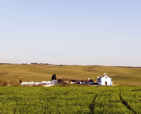 Les collines, marrons et jaunes à l’automne laissent deviner les collines pleines de fleurs au printemps, l’enchainement des paysages d’oliviers, de chênes-lièges, les champs de tournesol en été, moulins typiques et hameaux aux maisons blanches avec leurs lignes jaunes et bleues.