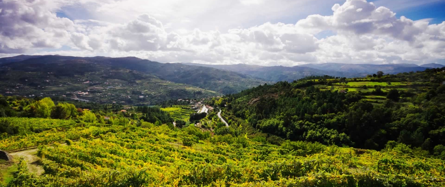 Région aux massifs montagneux imposants et aux vastes plaines traversées par d’importants fleuves et rivières tels que le Tage ou encore le Zêzere, mais aussi un carrefour d’influences ethniques et religieuses.