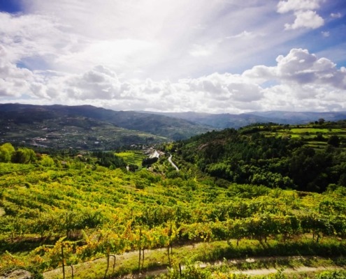 Région aux massifs montagneux imposants et aux vastes plaines traversées par d’importants fleuves et rivières tels que le Tage ou encore le Zêzere, mais aussi un carrefour d’influences ethniques et religieuses.