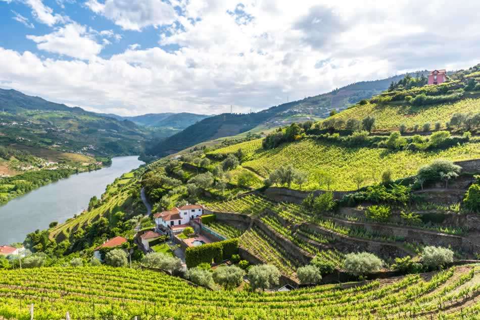 Découverte de la vallée du Douro, classée au Patrimoine Mondial de l’UNESCO, des villes de Vila Real, Amarante, Régua, Pinhão, Lamego, du Sanctuaire de Nossa Senhora dos Remédios, du Palais Mateus, du Mirador de São Leonardo de Galafura ainsi que d’une cave de vin de Porto.