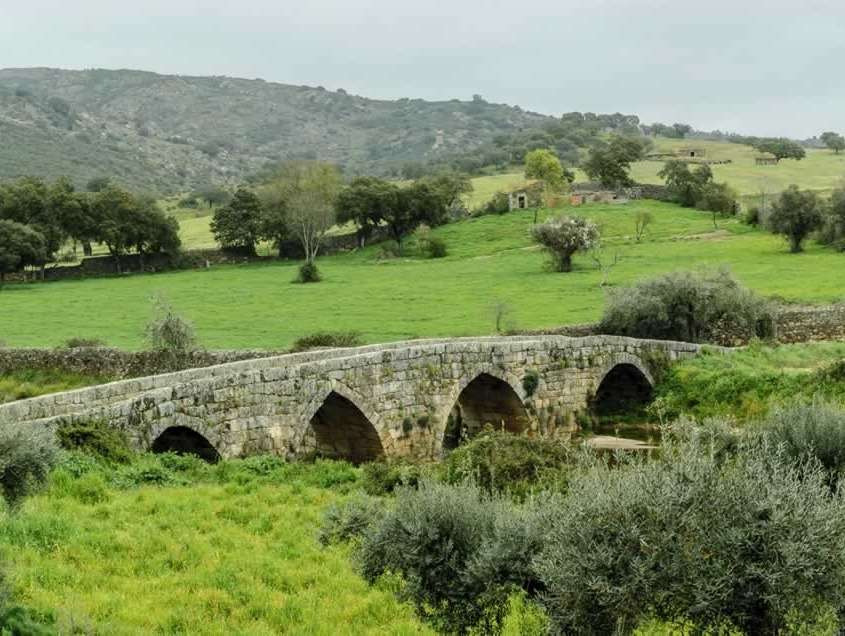 Village romain au 1er siècle, siège épiscopal sous influence des suèves et des visigoths, sous influence arabe au 8ème siècle avant d’être repris par les chrétiens au 9ème et confié aux Templiers au 13ème siècle.